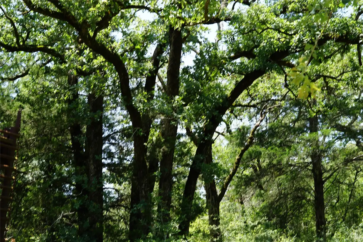 5548 County Road 322, Rockdale, TX 76567 - Image #1