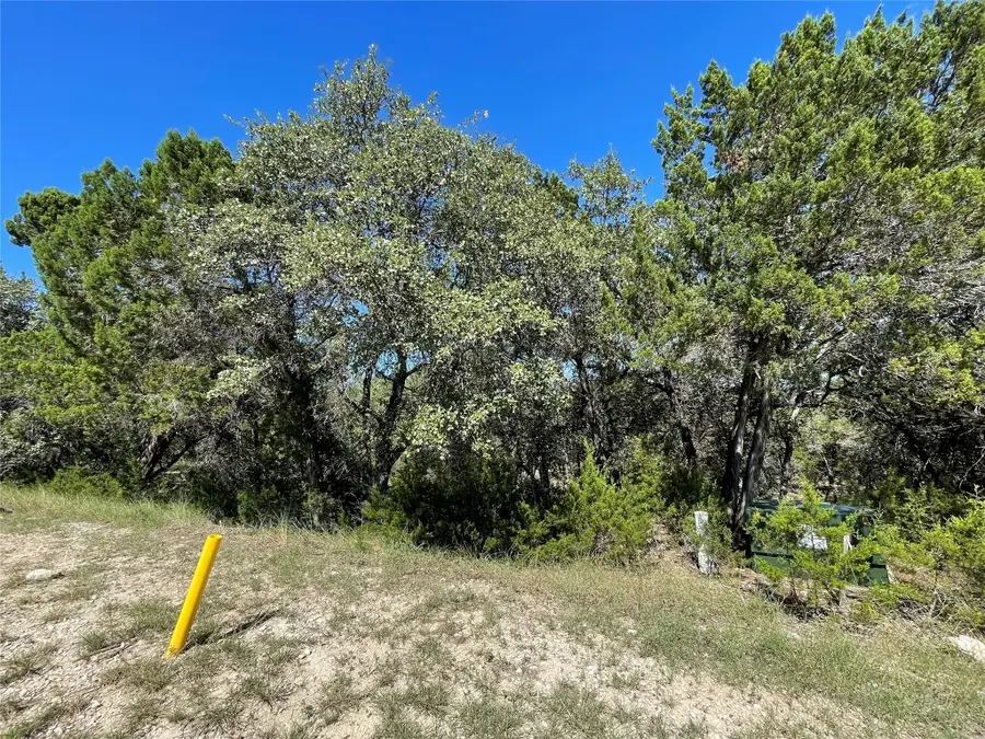 7717 Calcutta Run Dr, Jonestown, TX 78645 - Image #3