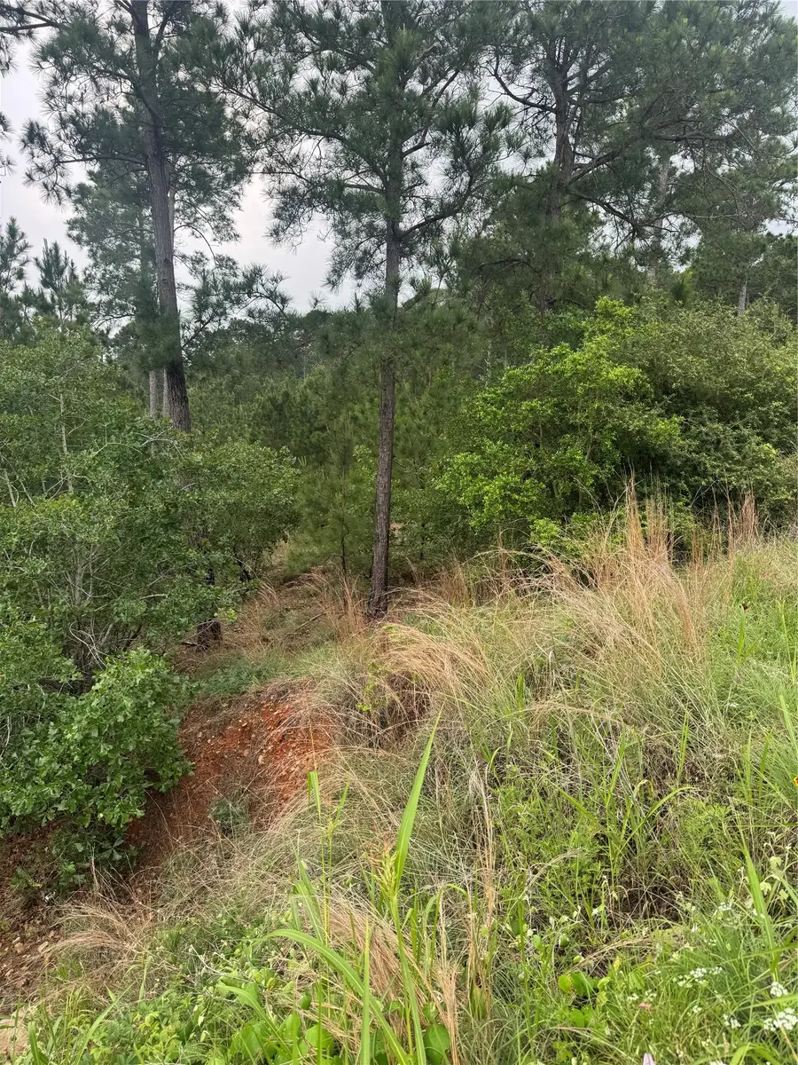 Lot 1614 Kaanapali Ln, Bastrop, TX 78602 - #3