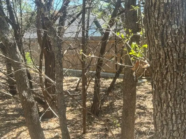 1381 Western Skies Dr, Spring Branch, TX 78070 - #2