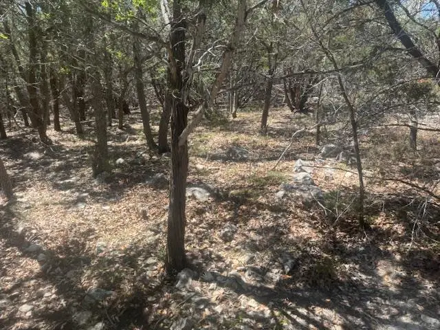 1381 Western Skies Dr, Spring Branch, TX 78070 - #3