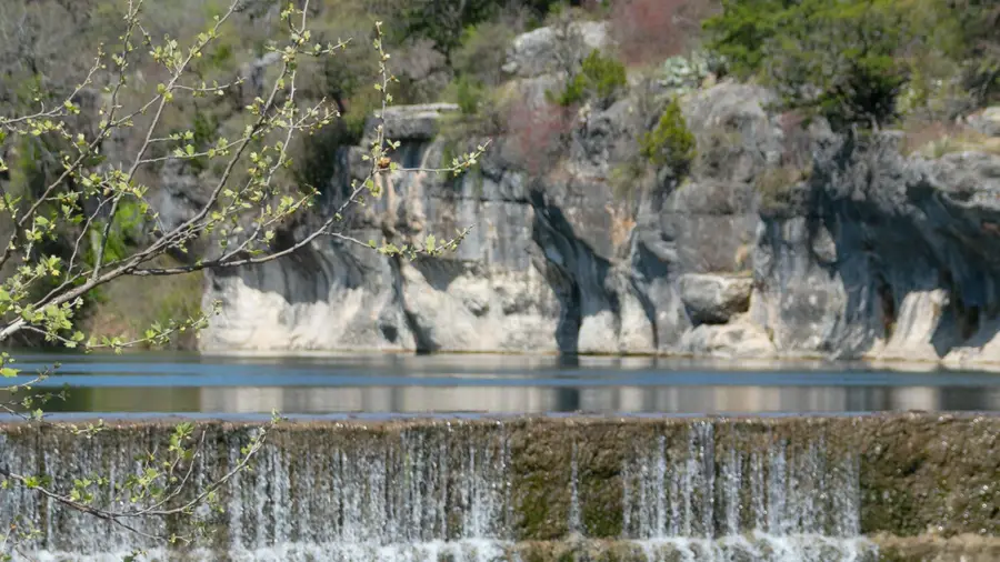 1516 Snowdrop Dr, Georgetown, TX 78628 - #3