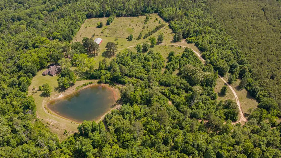 1655 County Road 1627 Rd, Avinger, TX 75630 - #2