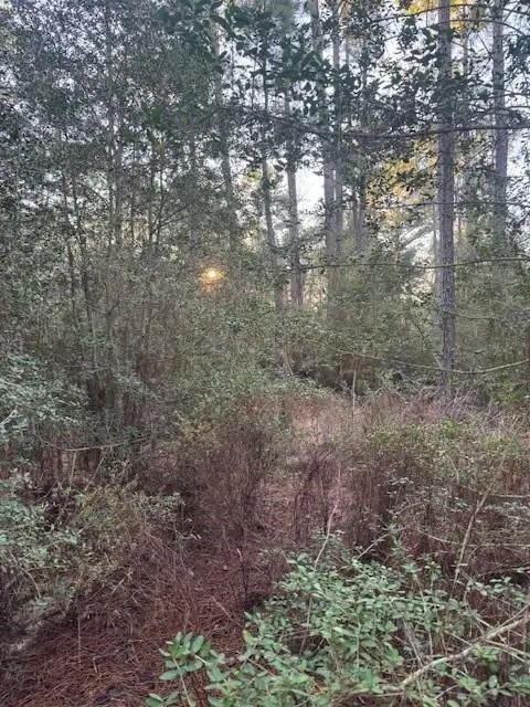 103 Lake Point Way, Bastrop, TX 78602 - #2