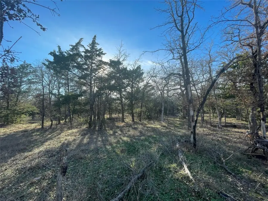 1698 Sandy Creek Rd, Dale, TX 78616 - Image #3