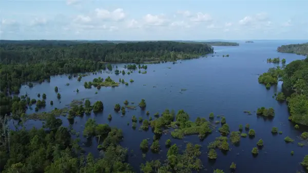 29 Live Oak Dr, Browndell, TX 75931