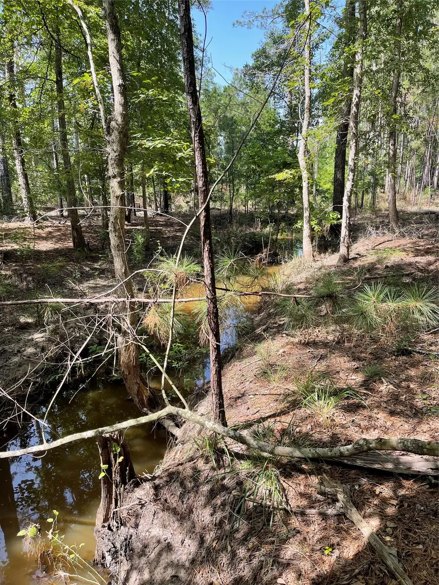 29 Live Oak Dr, Browndell, TX 75931 - Image #3