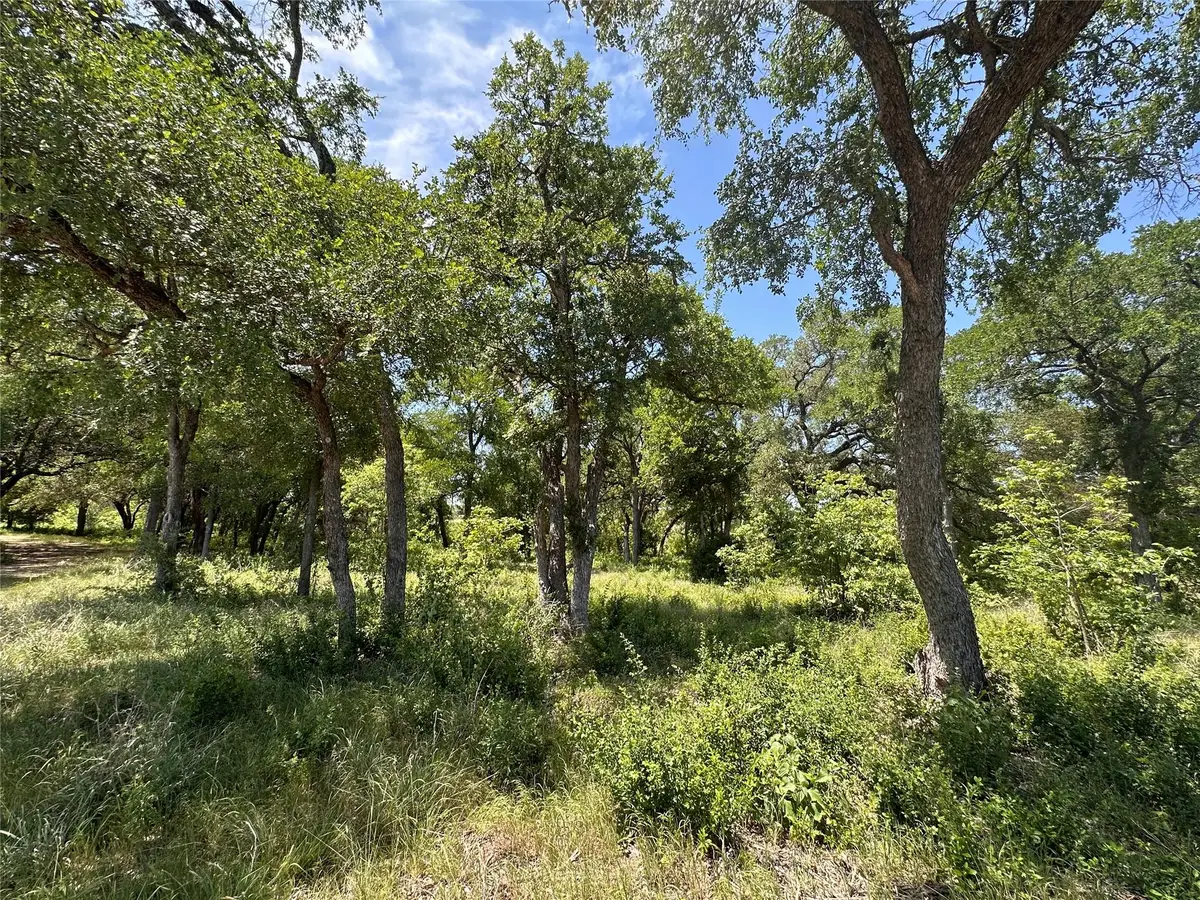 100 Serenity Dr, Liberty Hill, TX 78642 - #1