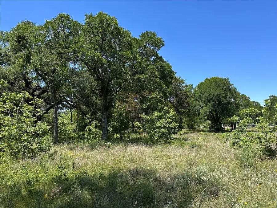 100 Serenity Dr, Liberty Hill, TX 78642 - #3