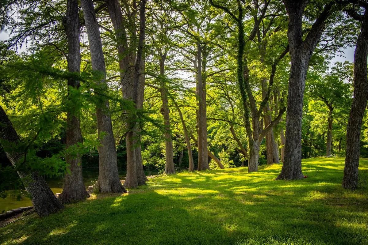 1106 Hillcrest Dr, New Braunfels, TX 78130 - Image #1