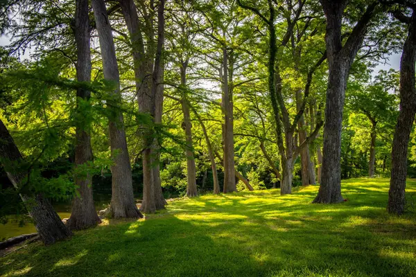 1106 Hillcrest Dr, New Braunfels, TX 78130