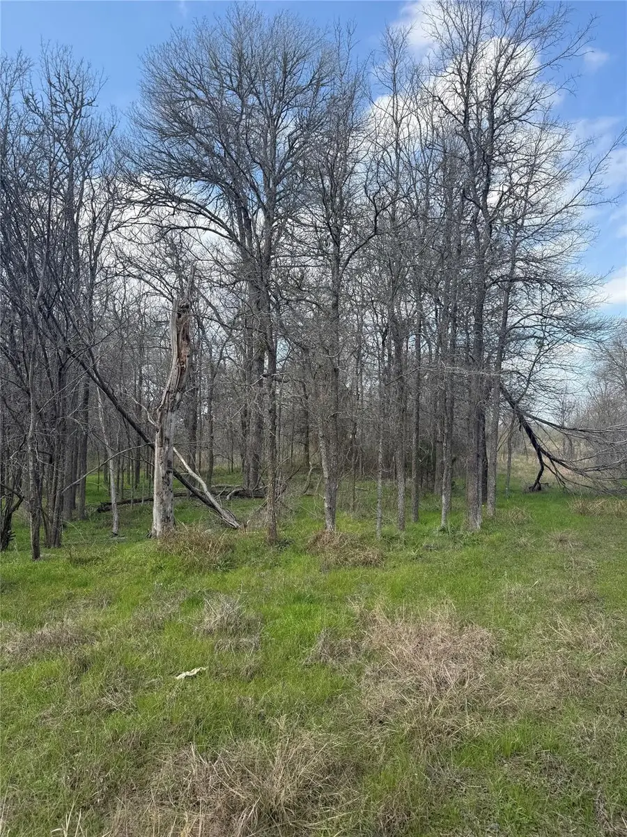 1904 Jasper St, Bastrop, TX 78602 - #2