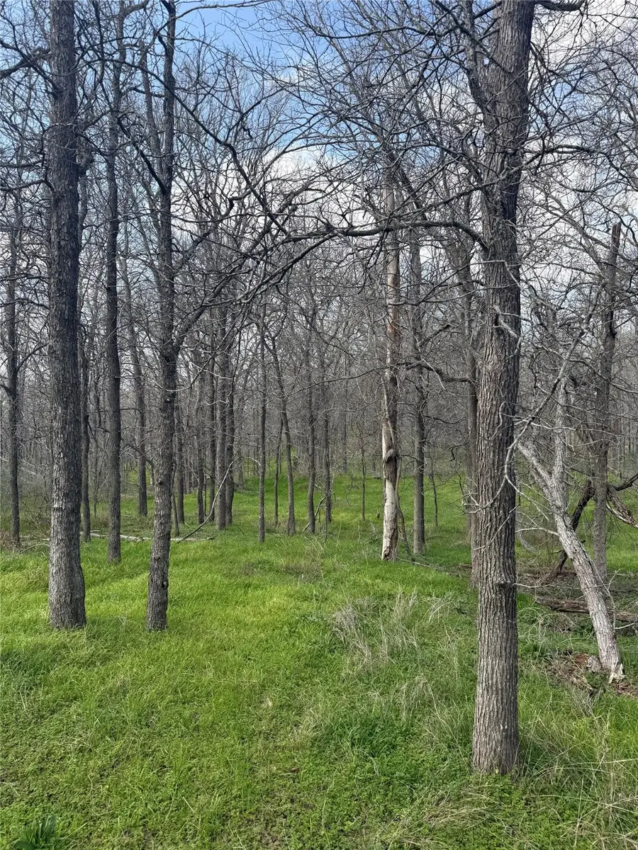 1904 Jasper St, Bastrop, TX 78602 - #3