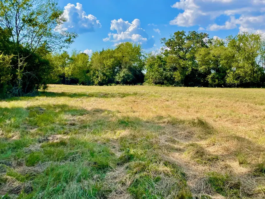 TBD Pleasant Grove Rd, North Zulch, TX 77872 - Image #2