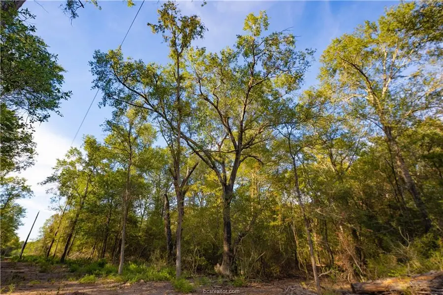 12416 Red Hill Rd Rd, Hearne, TX 77859 - #2