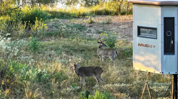 392 County Road 230, San Saba, TX 76877