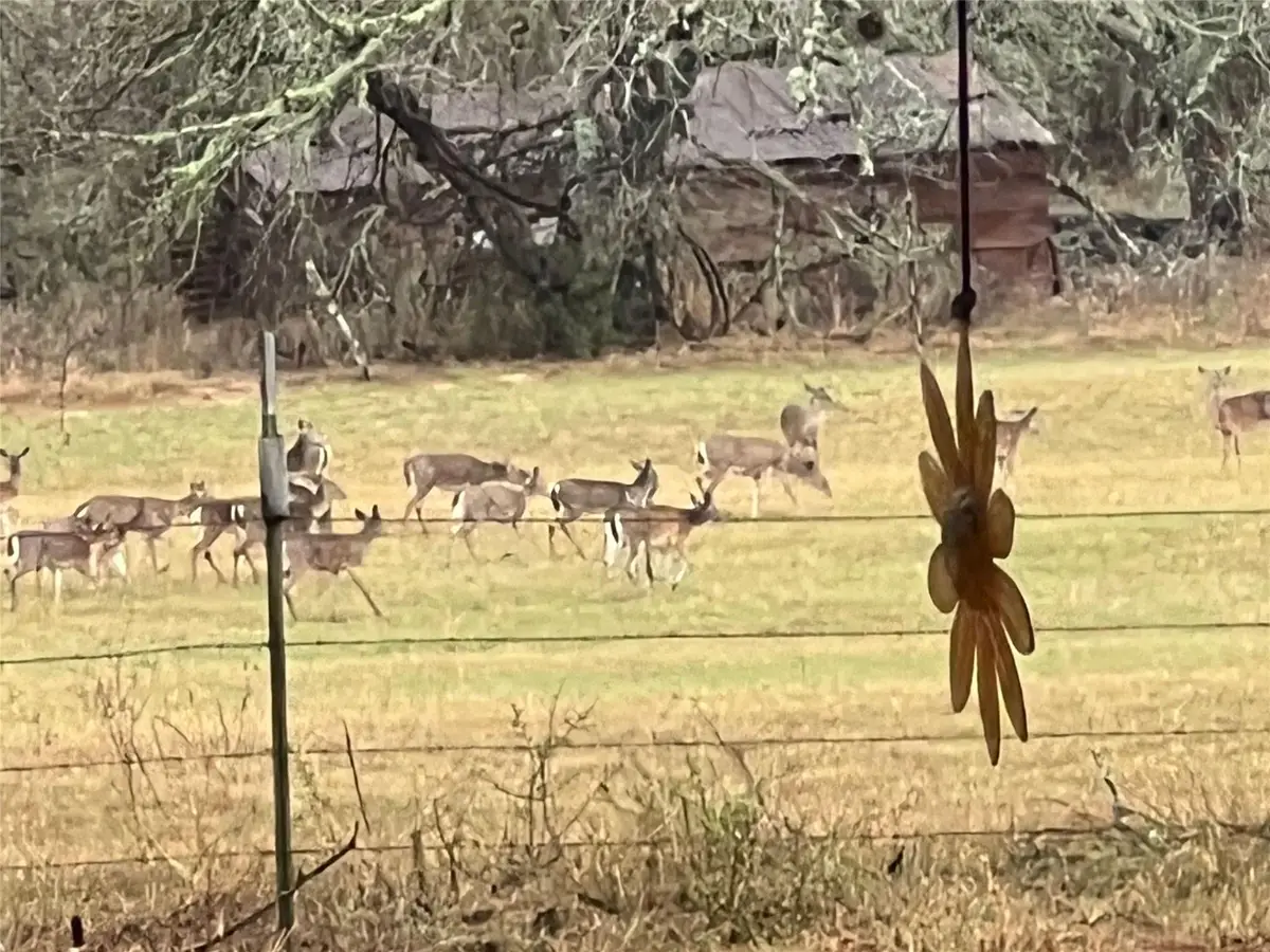 1384 County Road 326, Adkins, TX 78101 - #1