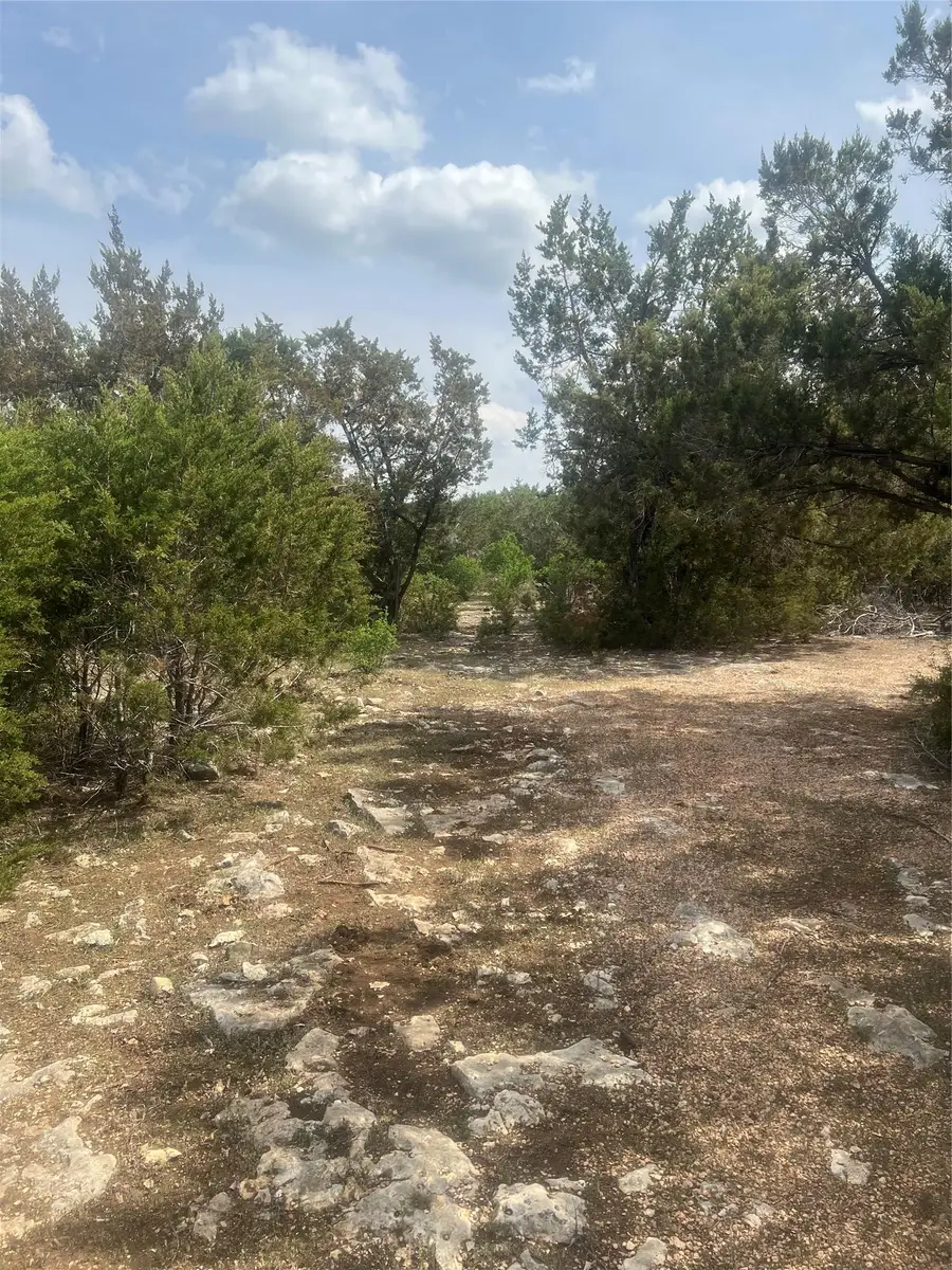 701 Grande St #B, Driftwood, TX 78619 - #2