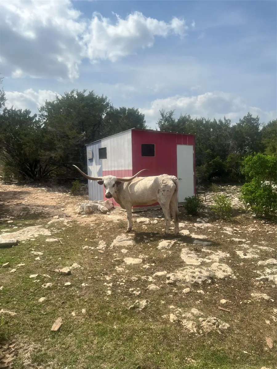 701 Grande St #B, Driftwood, TX 78619 - #3