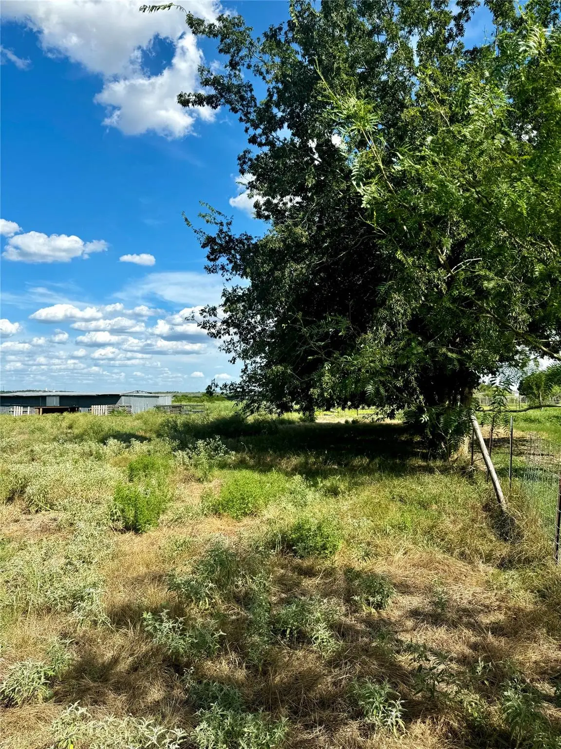 386 3g Rd, Kyle, TX 78640 - #1