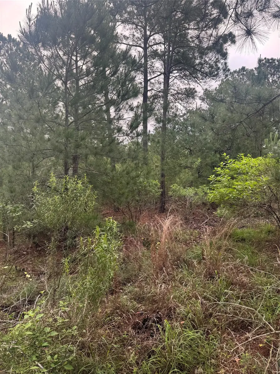 Lots 1490, 1491, 1492, Haleakala, Bastrop, TX 78602 - Image #3