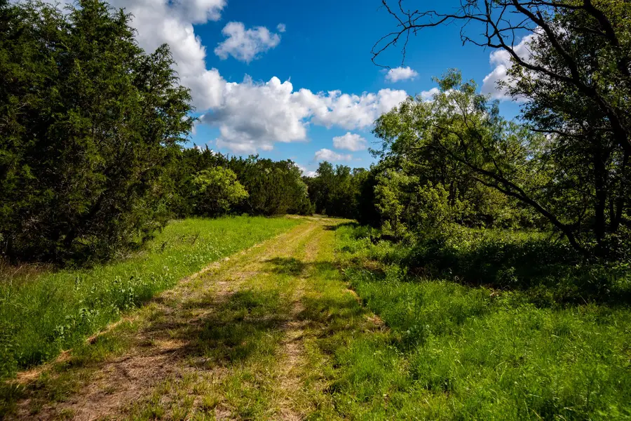 16162 Fm 581, Adamsville, TX 78653 - Image #3