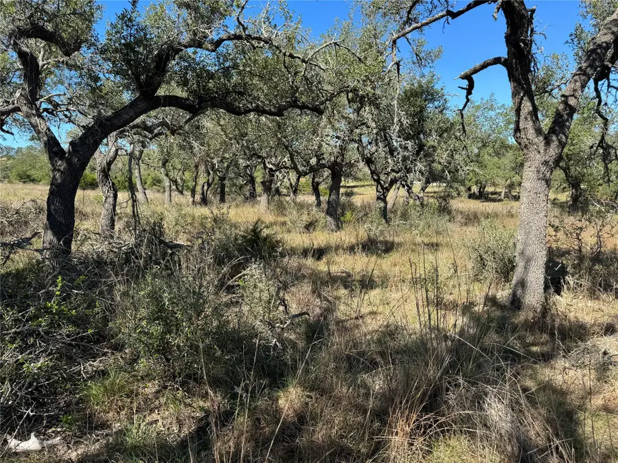 1717 Axis Cir, Fredericksburg, TX 78624 - #2