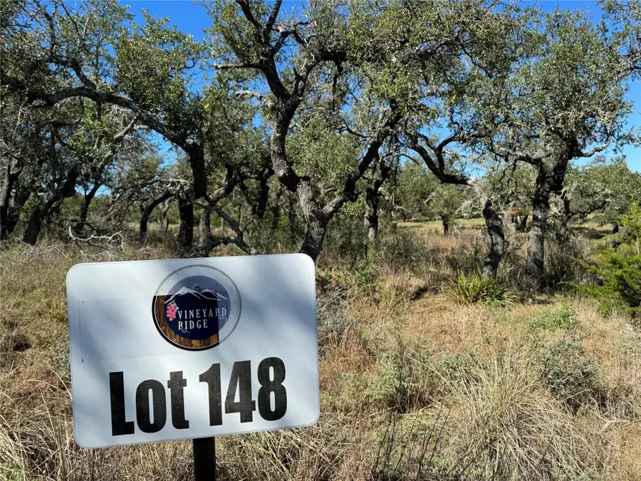 1717 Axis Cir, Fredericksburg, TX 78624 - #3