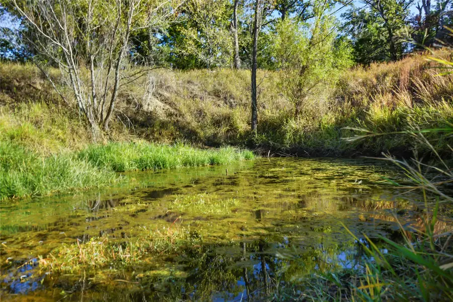 141 Morning Dove Ln, Elgin, TX 78602 - Image #3