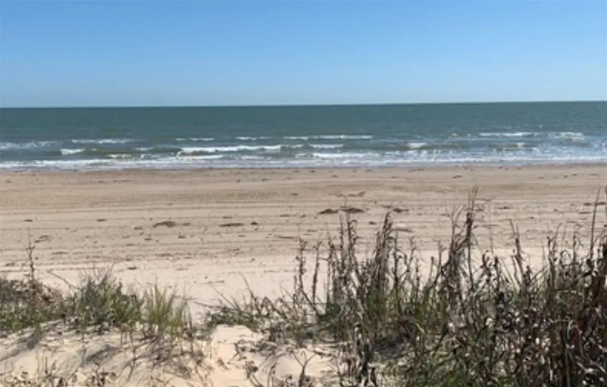 995 Alicia Dr, Galveston, TX 77617 - #1