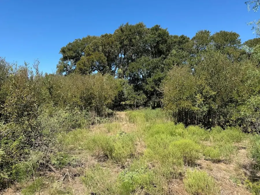 10.15 AC Fm 2409 Rd, Temple, TX 76504 - #2