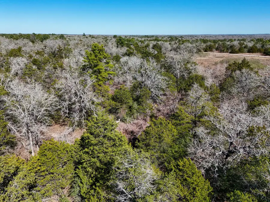 Lot 3 South Old Potato Rd, Paige, TX 78659 - Image #2
