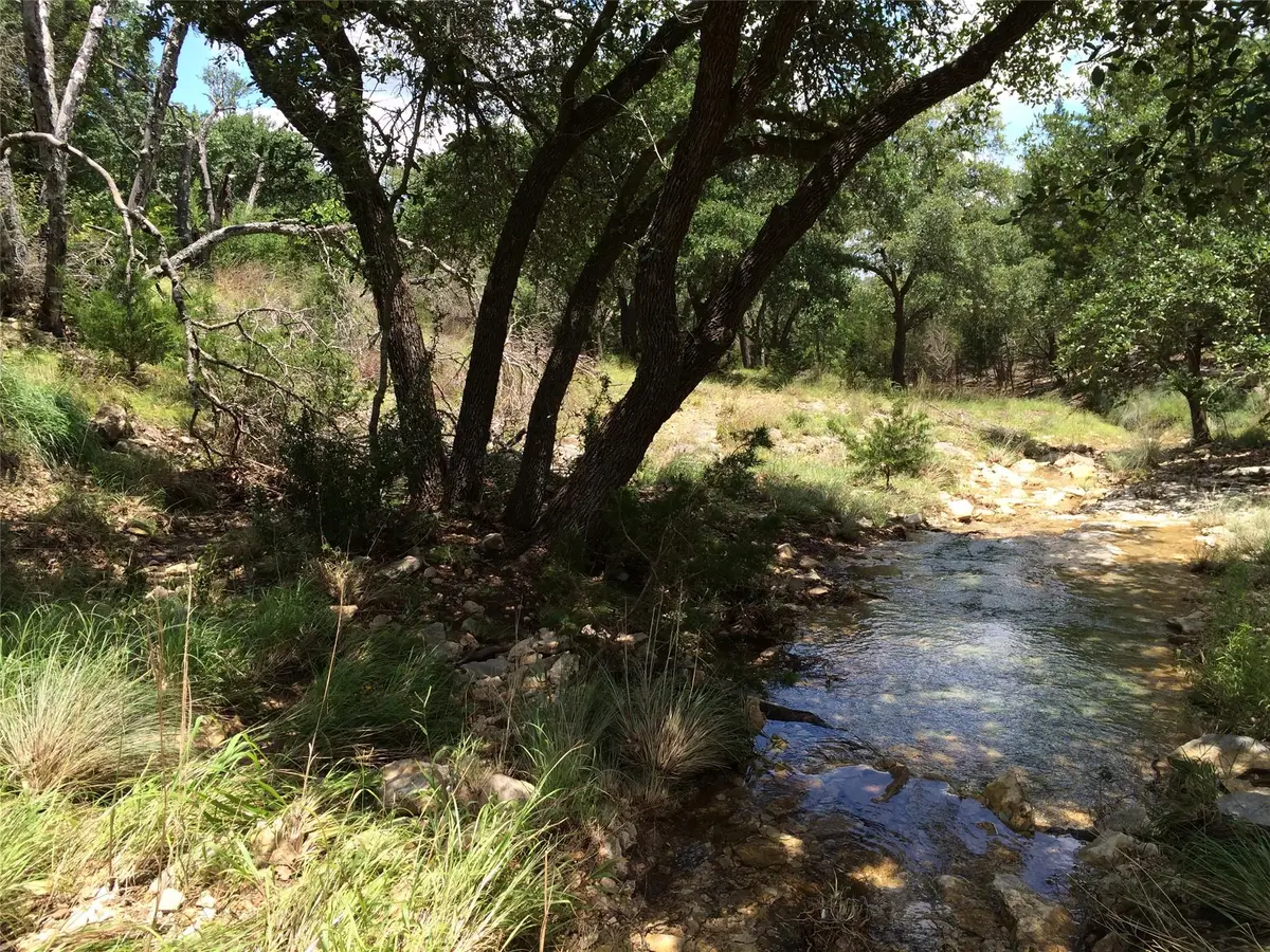 934 Beauchamp Rd, Dripping Springs, TX 78620 - #1