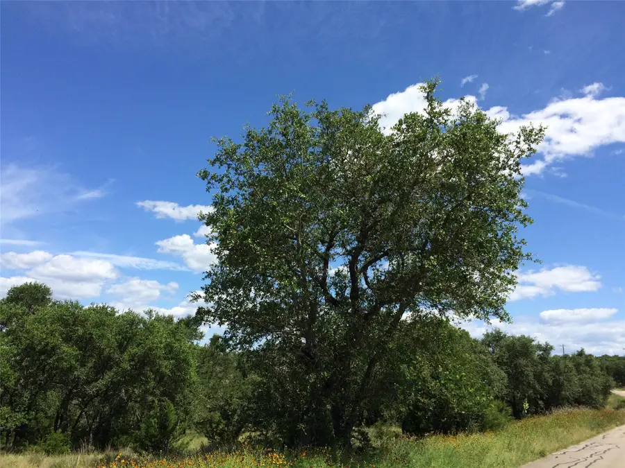 934 Beauchamp Rd, Dripping Springs, TX 78620 - #2