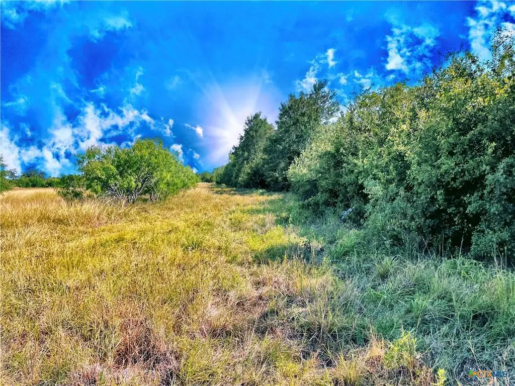 5350 Soda Springs Rd, Luling, TX 78648 - Image #1