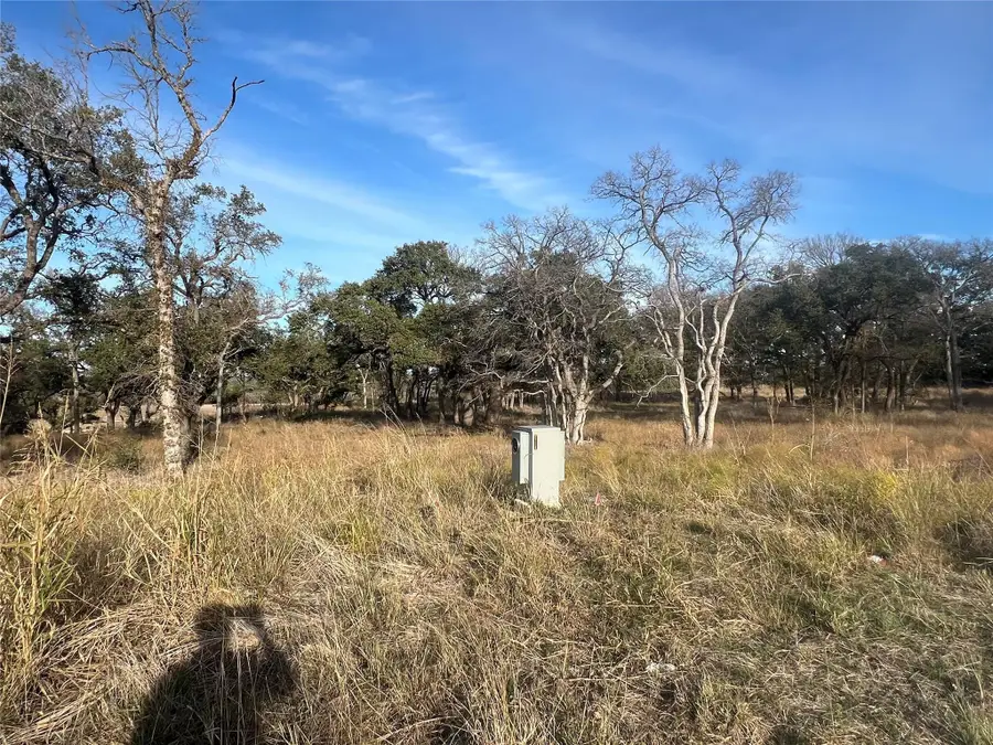 115 W Rio Ranch Rd, Liberty Hill, TX 78642 - #2