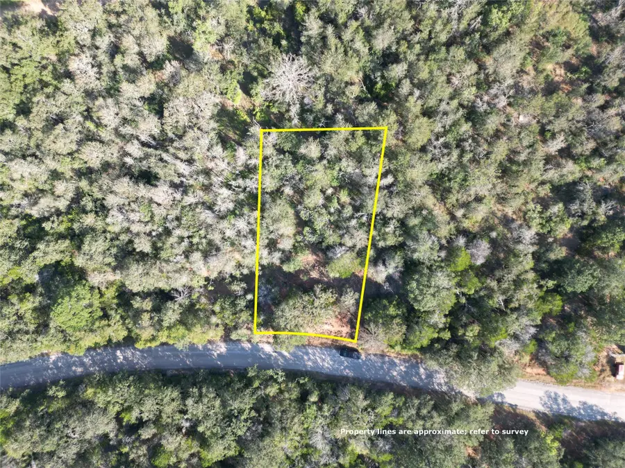 154 Heleakala Dr, Bastrop, TX 78602 - #2