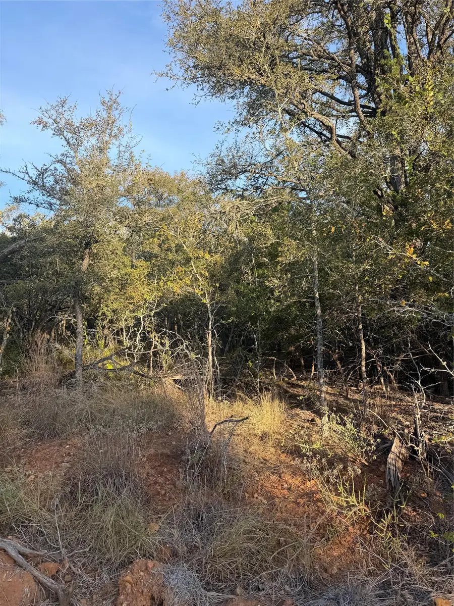 160 Helemano Dr, Bastrop, TX 78602 - #2