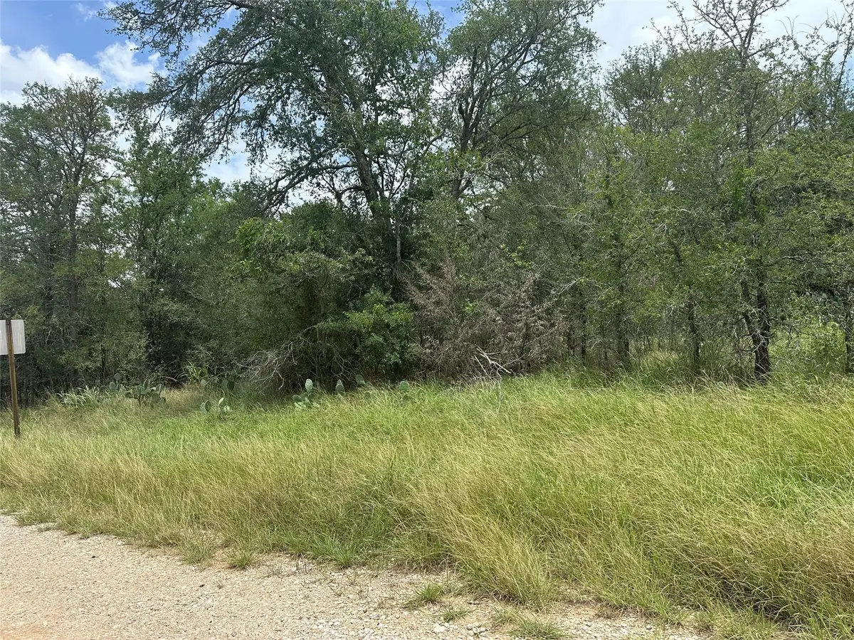 189 Puu Waa Waa Ln, Bastrop, TX 78602 - #1