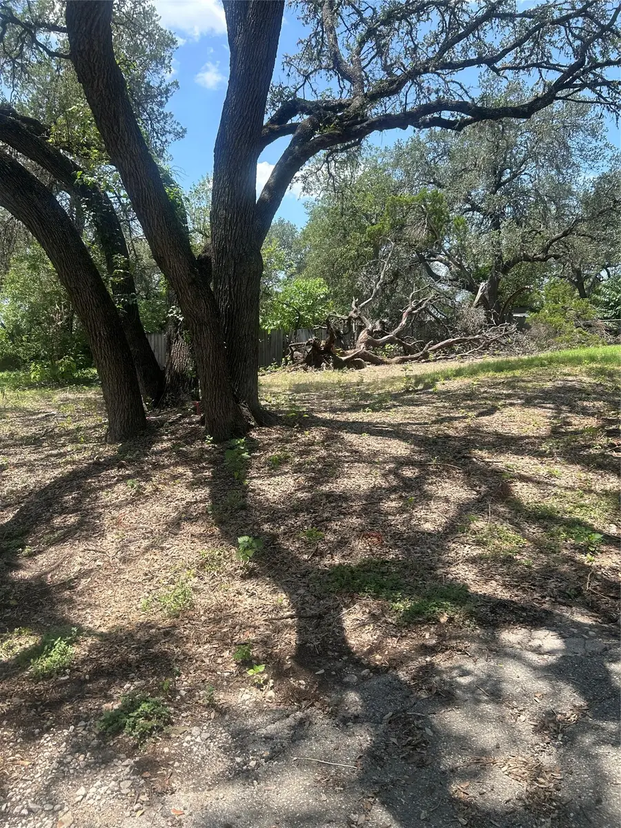 7900 Persimmon Trl, Austin, TX 78745 - #2