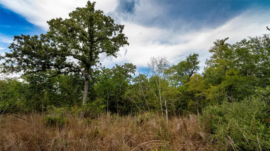 TBD Cr 405, Buckholts, TX 76518 - #2