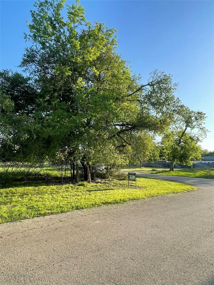 9 Donkey Ln, Morgans Point Resort, TX 76513 - Image #3