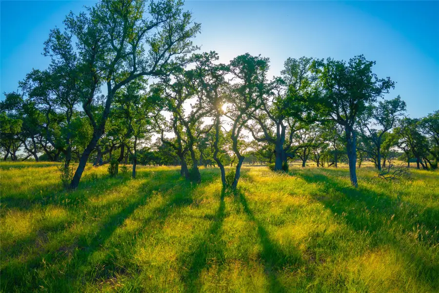 0 Bountiful Oaks Ranch, Johnson City, TX 78636 - #3