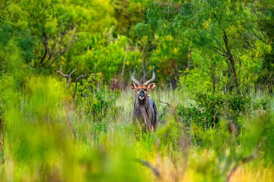 3021 Farm To Market 1689, Comanche, TX 76442 - Image #3