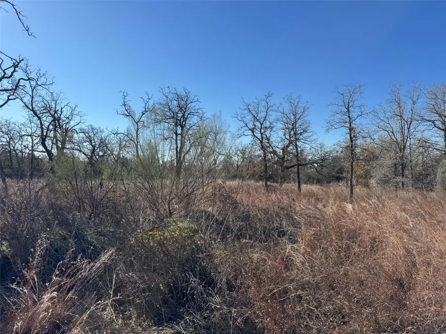 TBD Marjess Dr, Cedar Creek, TX 78612 - Image #2