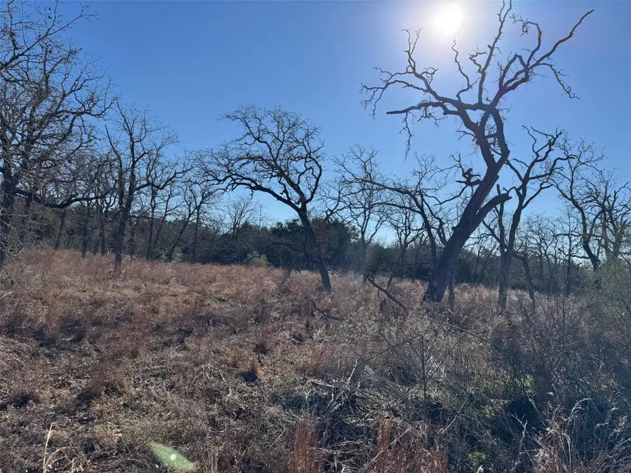 TBD Marjess Dr, Cedar Creek, TX 78612 - Image #3