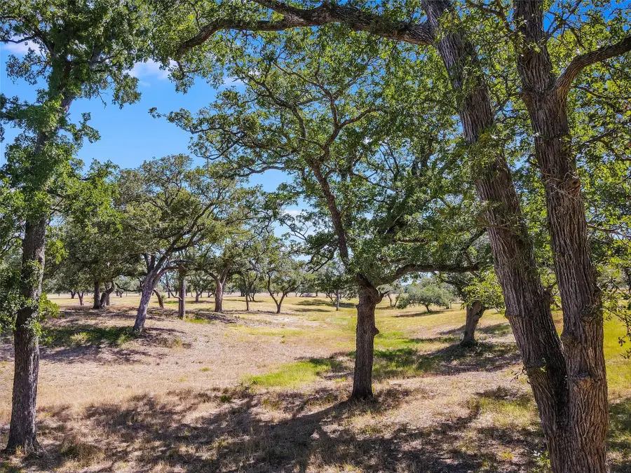 762 Karisch Rd, Giddings, TX 78942 - #3