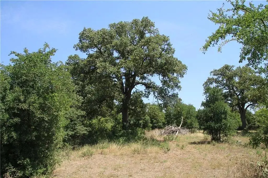 580 Whisper Ln, Georgetown, TX 78628 - #1