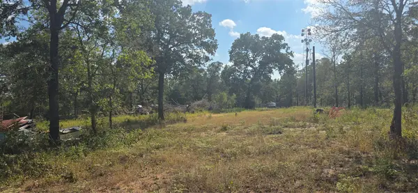 116 Red Oaks Dr, Dale, TX 78616