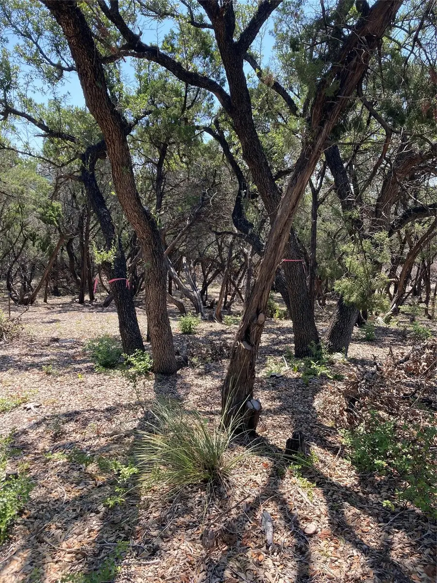 6601 N Capital Of Texas Highway, Austin, TX 78731 - Image #3